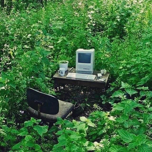 computer in grass